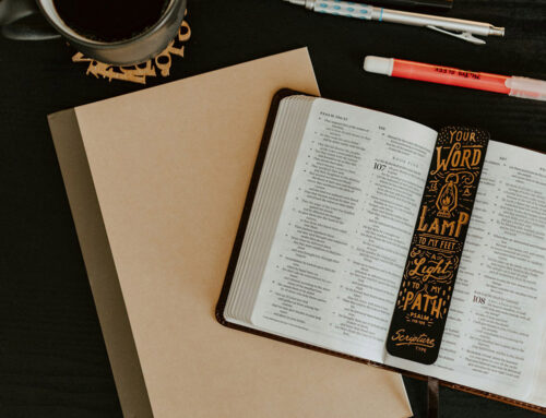 Choose a Bible Study for Personal Reading